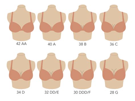 34c Boob Size: What You Need to Know