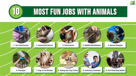 Best Animal Jobs: Discover Hidden Opportunities