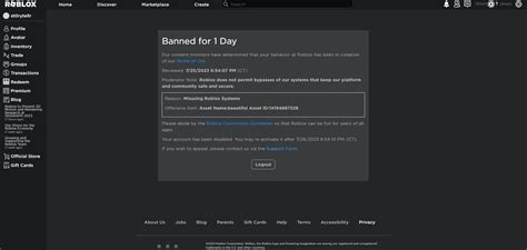Surprising Reasons for Roblox Account Bans