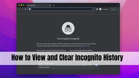 Unlock Secrets: View Incognito History
