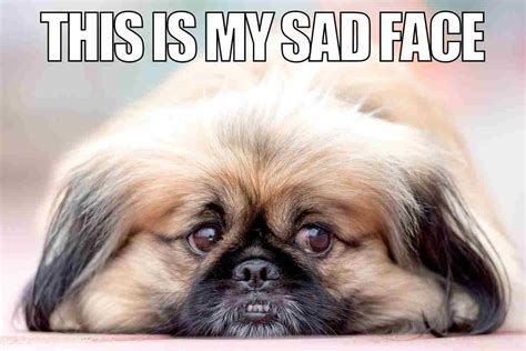 Sad Face Meme Origins Explained