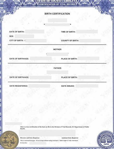 South Carolina Birth Certificate: Fast, Easy Access!